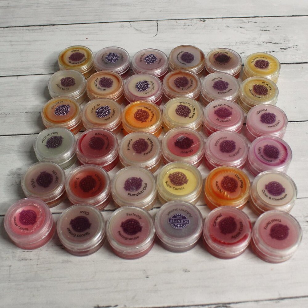 Scentsy Wax Melt Party Testers Samples Includes Consultant Carry Bag